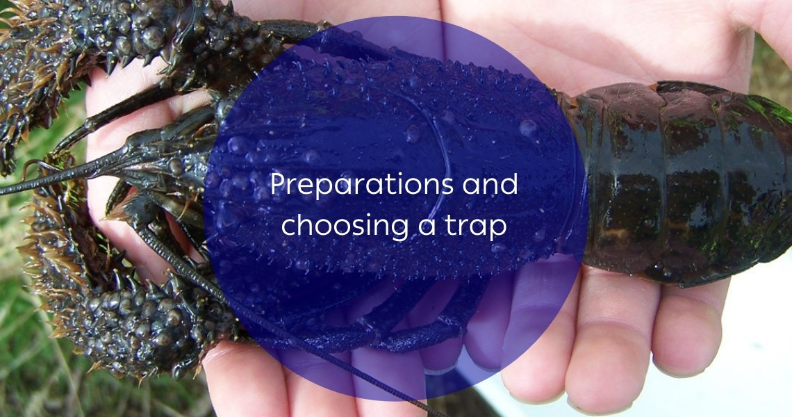 Preparations and choosing a trap